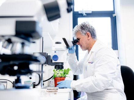 Senior Financial Controller